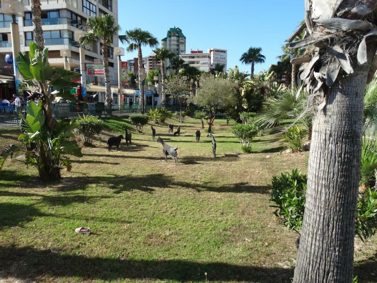 Apartment 2 Bedrooms, 250M Levante Beach Benidorm Dış mekan fotoğraf